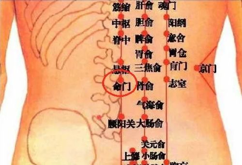 实际操作中的注意事项与伦理审视