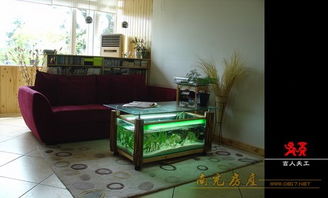 如何开设一家专业风水用品及咨询服务店？