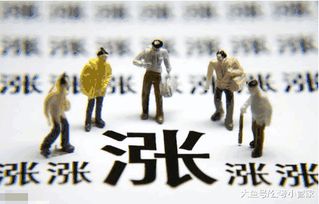六、 风险评估与防范策略——兼顾凶煞影响及突发事件应对
