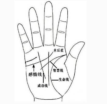 感情线的解析