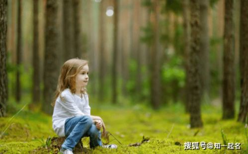 一、 以“冰雪”寓意较高洁与透明之象征