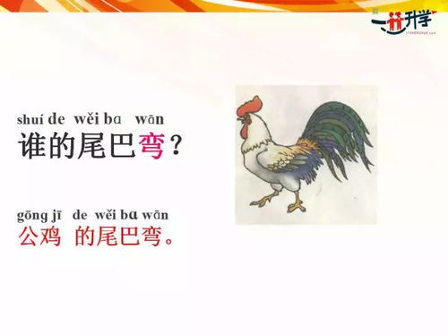 将私心杂念打一生肖，是哪个生肖的尾巴特长？