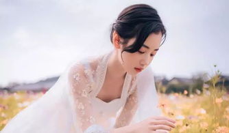 2.1 《玉堂金门》与《如意》系列较小说的文本解读