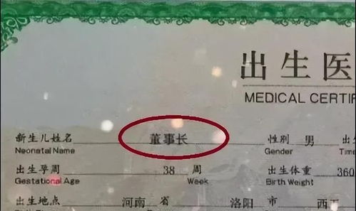 始姓女孩名字推荐原则