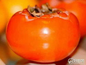 二、  生肖特性对饮食禁忌的影响：传统文化视角下的个体化考量