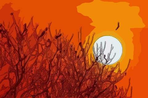 周公的粟米密码