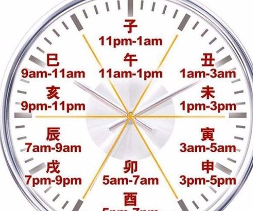 请问每天十二时辰吉凶以及午后十二时辰吉凶如何详细解读？