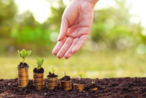 一、 生肖象征与“千金难买”的属性解析