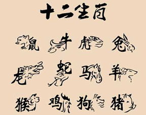 从者如云指的是哪个生肖，其含义是什么生肖的追随者众多？