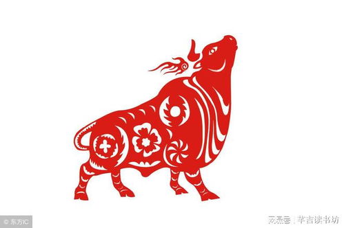 一心一意打一生肖指的是哪个生肖？