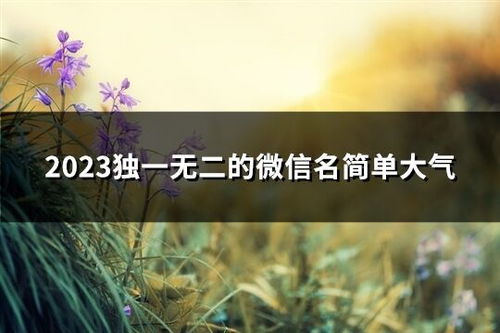 第一章　研究背景与理论框架