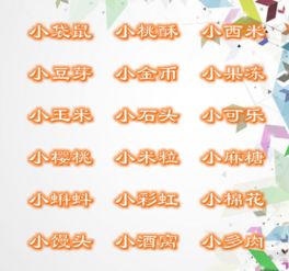 第三章：常见组合示例及其寓意解析