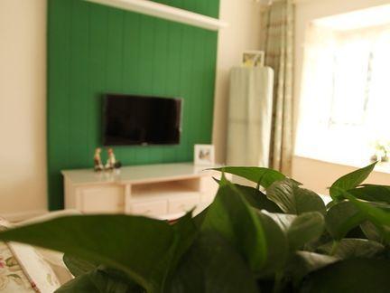 三、 绿植与花卉配置：以生态美学提升空间活力并净化空气