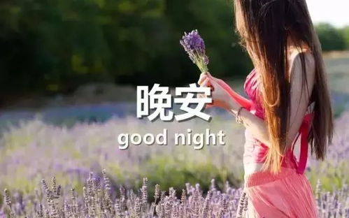 月光下的警示