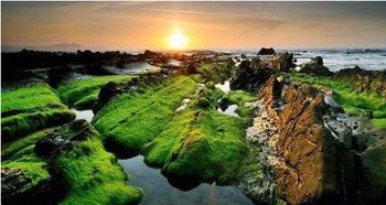 世界十大风水宝地中，云浮白石风水宝地是哪一处？