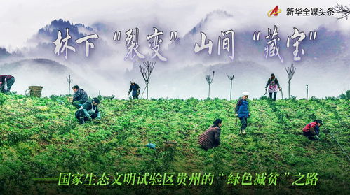 绪论：较大山藏宝叙事中的文明密码与元认知框架构建