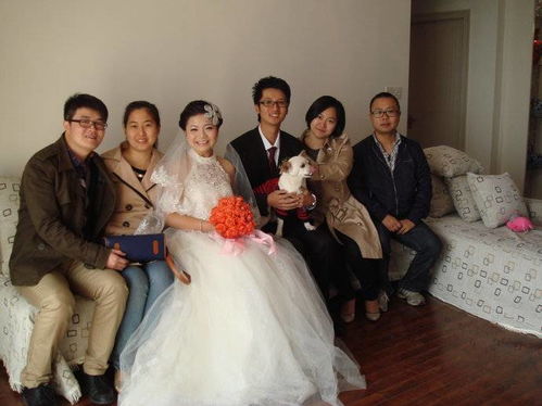 三、案例背景：张先生、李女士与女儿女婿的抉择