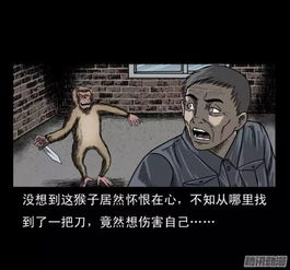 人物心理分析