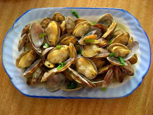 梦见河里众多贝壳预示着什么含义？