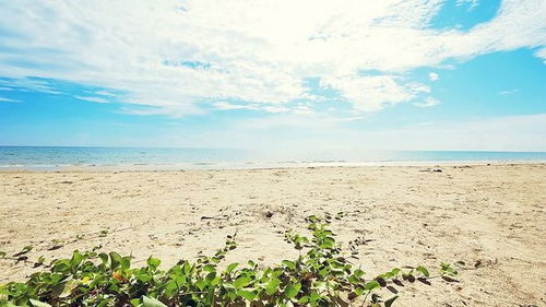 四、取名注意事项——乱弹琴式提示合集(请自行过滤)