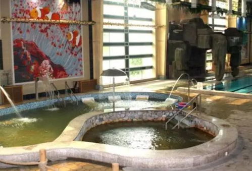 美食篇：3000平的大餐厅？不如老板娘灶台上的那一锅炖菜