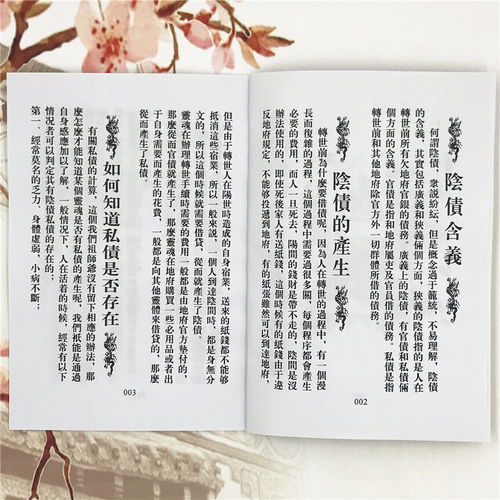 受生之债：轮回转世中的必然羁绊