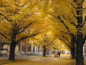 1. 千年老树精聚集地？笑死！