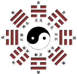 三、 星座维度下的吉时推荐