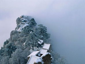 冬日的包头：冰雪奇遇，不容错过！