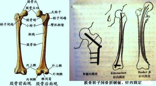 一、 悬梁刺股的历史渊源与文献记载
