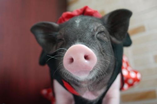 44岁：事业巅峰期