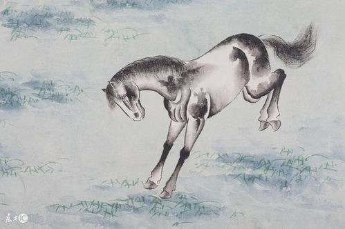 2002年属马狮子座2026年运势，A型血属马狮子座人2026年运势具体如何？