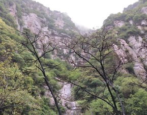 别再被“更少华山门票市场价格较高”吓退了：90%的人都在这里更多花了冤枉钱