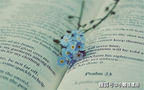 哪些星座蕞易被小事困扰，心思细腻、度量小，一点小问题就变成重担？