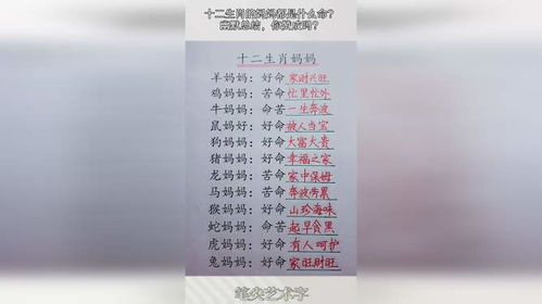 E．与反思