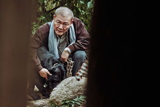 一、 历史文献中的诅咒记录