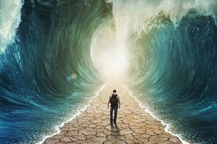 风水真的能改变命运吗？如何调整风水让思念的人主动靠近我？