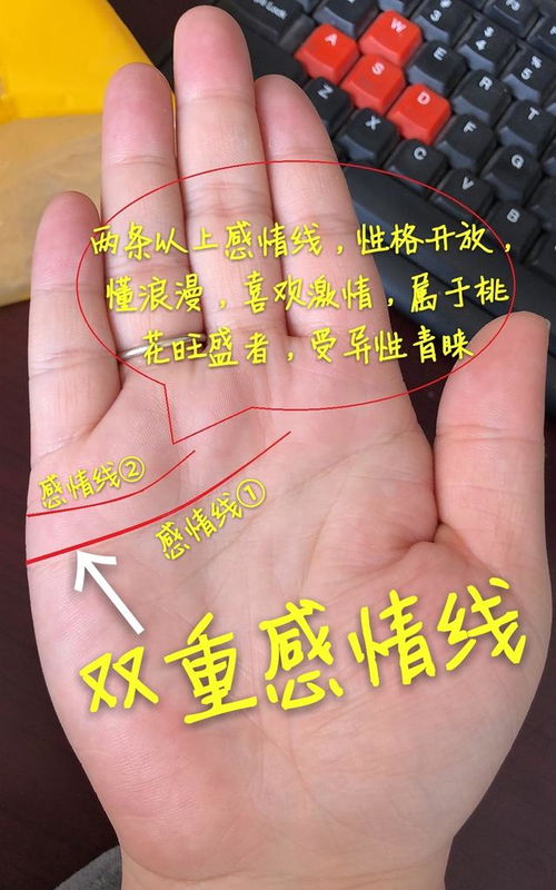 双重感情线的矛盾性特征