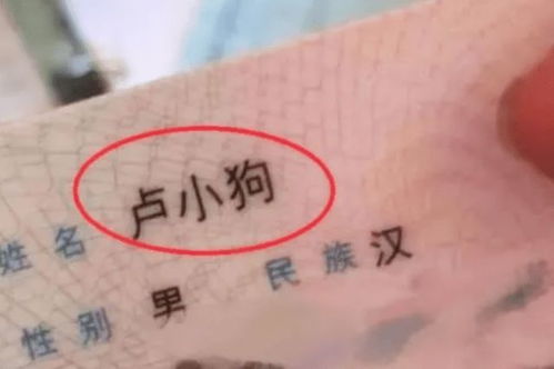 ② 把姓氏玩出花样 —— 用谐音、 拆字或拼音变形