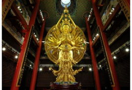 省钱攻略让我笑出声