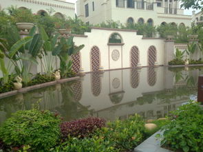 远见名苑风水顾问公司的专业角色与方法论