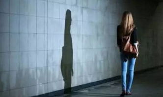 文献综述：支持与怀疑之争