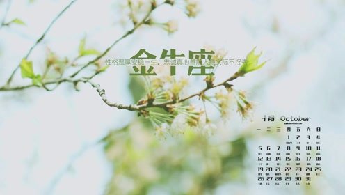 2026年3月金牛座运势和2024年金牛座开运物件分别是什么？