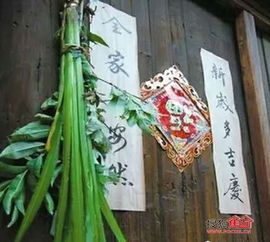 （三）挂艾草、 菖蒲、榕枝：风水辟邪与季节养生并沉重