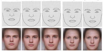 面相学的视角：智慧、 智力的象征及其局限性