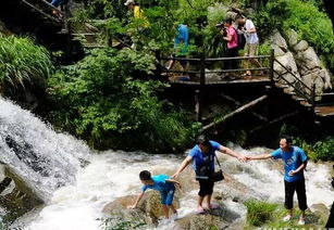 九龙谷旅游攻略：带娃出行？别慌，这篇攻略够烂！