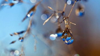 （一）对婚嫁活动的影响