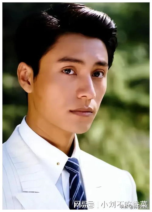 陈坤八字命运分析中，属狗的陈坤命运如何？