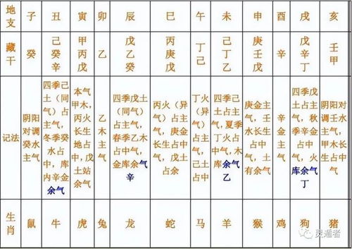 2019年十二生肖运势顺序顺口溜具体是什么？