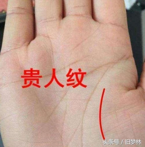 2.1 肉丘高低错落有致且呈现红润色泽